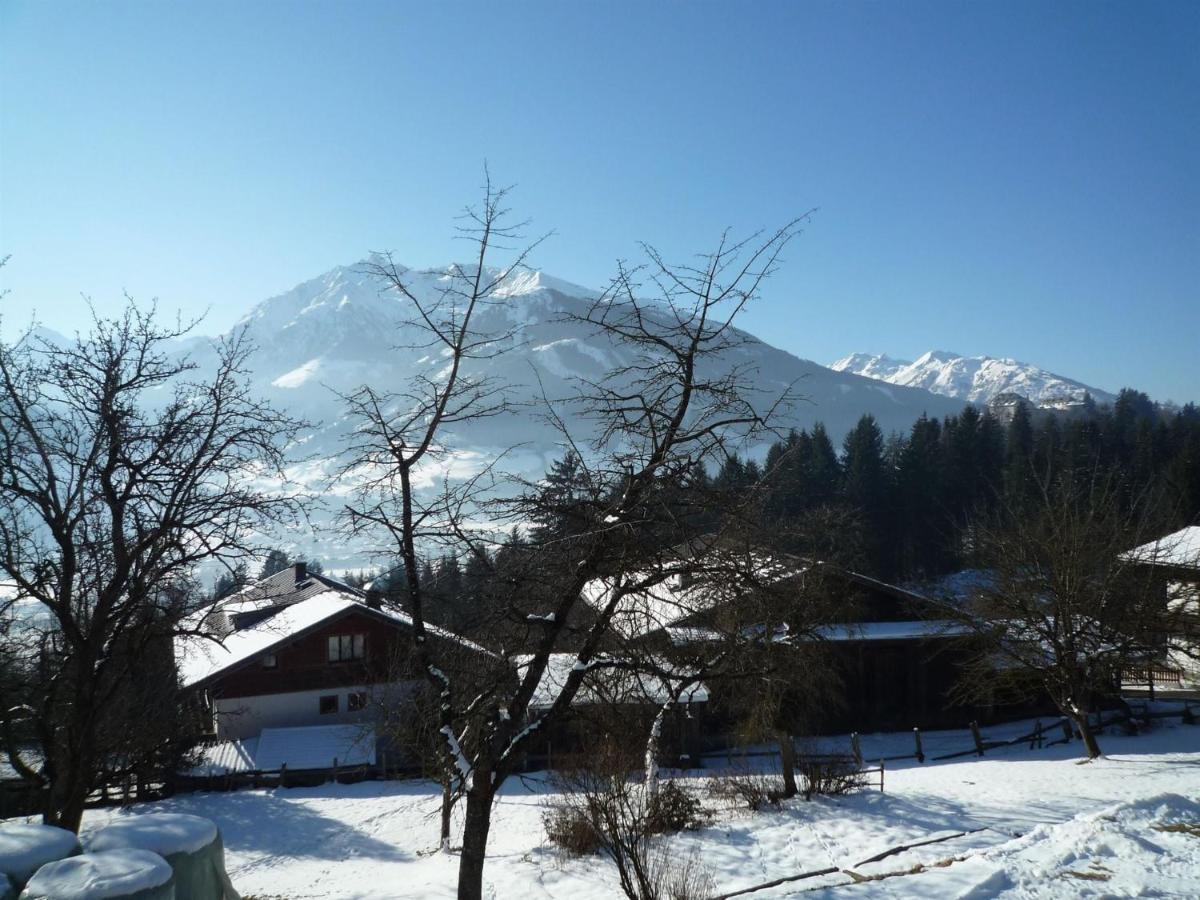 Spacious Apartment With Close To Skiing Points Mittersill Zewnętrze zdjęcie